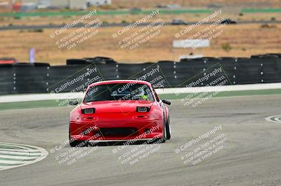 media/Sep-27-2025-Speed Ventures (Sat) [[6606706ef0]]/Yellow group/Turn 6/